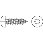 Flachkopf- Blechschrauben mit Spitze mit ISR (~TORX) ISO 14585