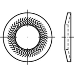 TECKENTRUP- Sperrkantscheiben f. Zyl. Schrauben. für Fkl. 8.8/10.9