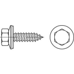 Fassadenschrauben mit Dichtscheibe 22 mm und Zapfen