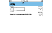 DIN 404 A 1 Kreuzlochschrauben mit Schlitz - Abmessung: M 5 x 10, Inhalt: 100 Stück