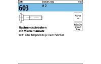 DIN 603 A 2 Flachrundschrauben mit Vierkantansatz - Abmessung: M 6 x 35, Inhalt: 100 Stück