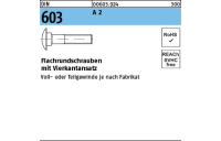 DIN 603 A 2 Flachrundschrauben mit Vierkantansatz - Abmessung: M 6 x 65, Inhalt: 100 Stück
