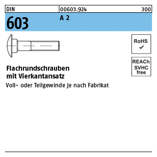 DIN 603 A 2 Flachrundschrauben mit Vierkantansatz - Abmessung: M 8 x 65, Inhalt: 100 Stück
