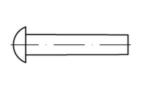 DIN 660 A 2 Halbrundniete - Abmessung: 5 x 20, Inhalt: 100 Stück