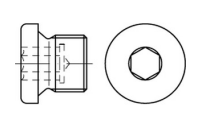 DIN 908 A 4 zyl.-Fein verschlussschrauben mit Bund und Innensechskant, m. zyl. Feingewinde - Abmessung: M 14 x 1,5, Inhalt: 100 Stück