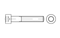 DIN 912 A 4 - 70 Zylinderschrauben mit Innensechskant - Abmessung: M 2 x 5*, Inhalt: 100 Stück