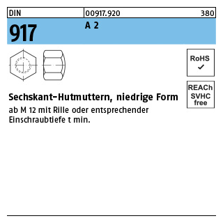 DIN 917 A 2 Sechskant-Hutmuttern, niedrige Form - Abmessung: M 10 SW 17, Inhalt: 25 Stück