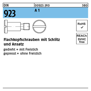 DIN 923 A 1 Flachkopfschrauben mit Schlitz und Ansatz - Abmessung: M 4 x 2 x 6,0, Inhalt: 100 Stück