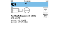 DIN 923 A 1 Flachkopfschrauben mit Schlitz und Ansatz - Abmessung: M 4 x 2 x 6,0, Inhalt: 100 Stück