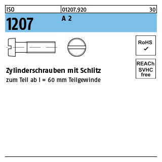 ISO 1207 A 2 Zylinderschrauben mit Schlitz - Abmessung: M 2 x 8, Inhalt: 1000 Stück