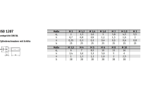 ISO 1207 A 2 Zylinderschrauben mit Schlitz - Abmessung: M 8 x 30, Inhalt: 100 Stück