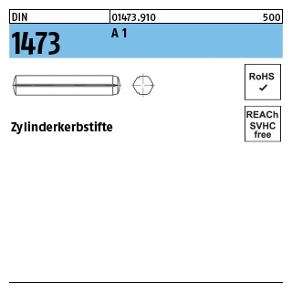 DIN 1473 A 1 Zylinderkerbstifte - Abmessung: 2 x 10, Inhalt: 100 Stück