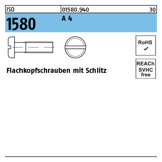 ISO 1580 A 4 Flachkopfschrauben mit Schlitz - Abmessung: M 2 x 5, Inhalt: 1000 Stück