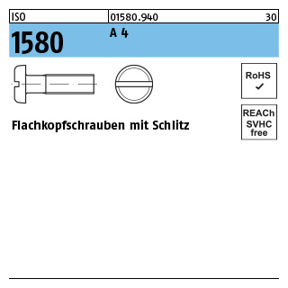 ISO 1580 A 4 Flachkopfschrauben mit Schlitz - Abmessung: M 2 x 8, Inhalt: 1000 Stück