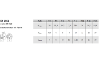 EN 1661 A 2 Sechskantmuttern mit Flansch - Abmessung: M 10, Inhalt: 500 Stück