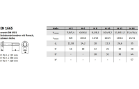 EN 1665 A 2 Sechskantschrauben mit Flansch, schwere Reihe - Abmessung: M 10 x 45, Inhalt: 100 Stück