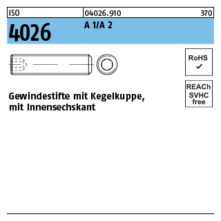 ISO 4026 A 2 Gewindestifte mit Kegelkuppe und Innensechskant - Abmessung: M 6 x 20, Inhalt: 500 Stück