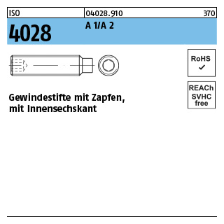 ISO 4028 A 1/A 2 Gewindestifte mit Zapfen und Innensechskant - Abmessung: M 2 x 6, Inhalt: 500 Stück