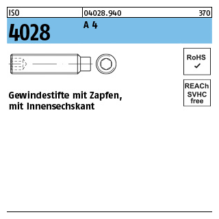 ISO 4028 A 4 Gewindestifte mit Zapfen und Innensechskant - Abmessung: M 6 x 45, Inhalt: 100 Stück