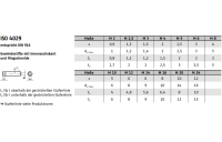 ISO 4029 A 4 Gewindestifte mit Ringschneide und Innensechskant - Abmessung: M 5 x 25, Inhalt: 200 Stück