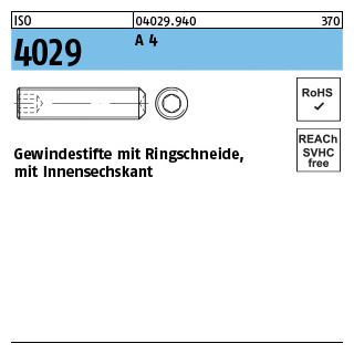 ISO 4029 A 4 Gewindestifte mit Ringschneide und Innensechskant - Abmessung: M 16 x 20, Inhalt: 10 Stück