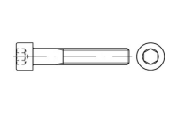 ISO 4762 A 2 - 70 Zylinderschrauben mit Innensechskant - Abmessung: M 2 x 16*, Inhalt: 100 Stück