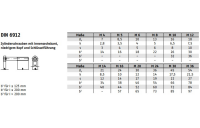 DIN 6912 A 4 Zylinderschrauben mit Innensechskant, niedriger Kopf, mit Schlüsselführung - Abmessung: M 16 x 45, Inhalt: 10 Stück