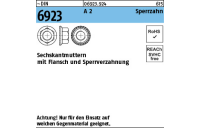 ~DIN 6923 A 2 Sperrzahn Sechskantmuttern mit Flansch und Sperrverzahnung - Abmessung: M 10, Inhalt: 500 Stück