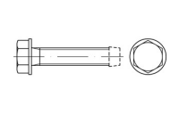 ~DIN 7500 Stahl ~Form D galvanisch verzinkt Gewindefurchende Schrauben, metr. Gewinde, Sechskant-Flanschkopf - Abmessung: DM 8 x 12, Inhalt: 500 Stück