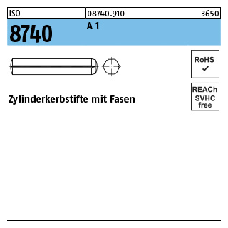 ISO 8740 A 1 Zylinderkerbstifte mit Fasen - Abmessung: 2 x 10, Inhalt: 100 Stück