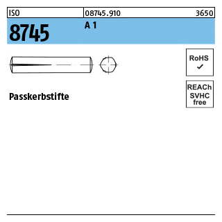 ISO 8745 A 1 Passkerbstifte - Abmessung: 3 x 14, Inhalt: 100 Stück