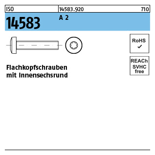 ISO 14583 A 2 Flachkopfschrauben mit Innensechsrund - Abmessung: M 2 x 3, Inhalt: 1000 Stück