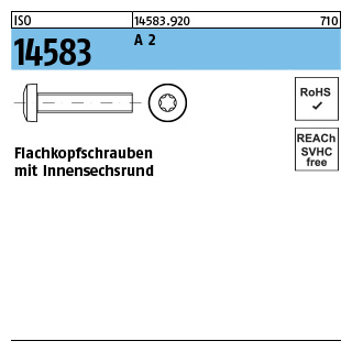 ISO 14583 A 2 Flachkopfschrauben mit Innensechsrund - Abmessung: M 2,5 x 4, Inhalt: 1000 Stück