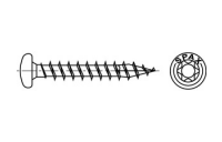 Artikel 88093 A 2 SPAX Ruko-T SPAX Universalschrauben mit Spitze, SPAX MULTI-Halbrundkopf, Pozidriv-KS - Abmessung: 4 x 20/16-T20, Inhalt: 200 Stück