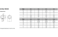 Artikel 88106 A 1/A 2 Setzmuttern - Abmessung: M 6 / 0,9, Inhalt: 100 Stück