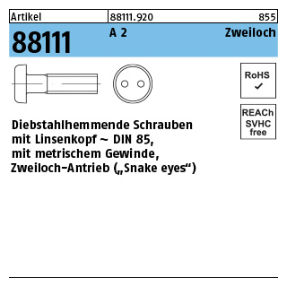 Artikel 88111 A 2 Zweiloch Diebstahlhemmende Schrauben, Linsenkopf DIN 85, Zweiloch-Antrieb - Abmessung: M 3 x 10, Inhalt: 100 Stück