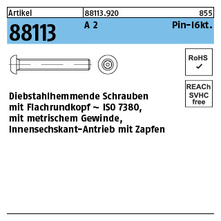 Artikel 88113 A 2 Pin-I6kt. Diebstahlhemmende Schrauben m. Flachkopf ~ ISO 7380, mit ISK und Zapfen - Abmessung: M 4 x 8, Inhalt: 100 Stück