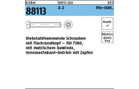 Artikel 88113 A 2 Pin-I6kt. Diebstahlhemmende Schrauben m. Flachkopf ~ ISO 7380, mit ISK und Zapfen - Abmessung: M 4 x 10, Inhalt: 100 Stück