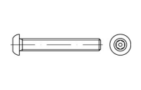 Artikel 88113 A 2 Pin-I6kt. Diebstahlhemmende Schrauben m. Flachkopf ~ ISO 7380, mit ISK und Zapfen - Abmessung: M 4 x 10, Inhalt: 100 Stück