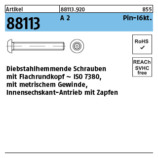 Artikel 88113 A 2 Pin-I6kt. Diebstahlhemmende Schrauben m. Flachkopf ~ ISO 7380, mit ISK und Zapfen - Abmessung: M 8 x 40, Inhalt: 100 Stück