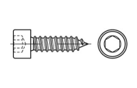 Artikel 88312 A 2 Form C Zylinder-Blechschrauben mit Innensechskant mit Spitze - Abmessung: C 4,8 x 70, Inhalt: 200 Stück