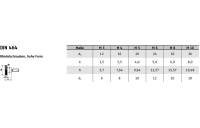 DIN 464 1.4305  Rändelschrauben, hohe Form - Abmessung: M 6  x 16, Inhalt:  25 Stück