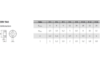 DIN 546 1.4305 Schlitzmuttern - Abmessung: M 6, Inhalt:  100 Stück