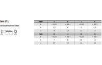 DIN 571 A2  Sechskant-Holzschr. - Abmessung: M 8 x 30, Inhalt:  100 Stück