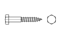 DIN 571 A2  Sechskant-Holzschr. - Abmessung: M 12 x 300, Inhalt:  25 Stück