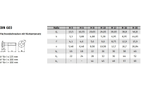 DIN 603 A2 Flachrundschrauben mit Vierkantansatz - Abmessung: M 12 x 200, Inhalt:  50 Stück