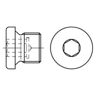 DIN 908 A2  zyl.-Fein verschlussschrauben mit Bund und Innensechskant, m. zyl. Feingewinde - Abmessung: M 10 x 1, Inhalt:  50 Stück