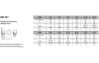 DIN 917 A2 Sechskant-Hutmuttern, niedrige Form - Abmessung: M 10 SW 17, Inhalt:  100 Stück