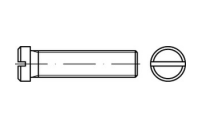 DIN 920 A2 Flachkopfschrauben mit Schlitz und kleinem Kopf - Abmessung: M 5 x 10, Inhalt:  200 Stück
