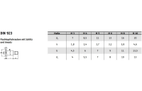 DIN 923 1.4305 Flachkopfschrauben mit Schlitz und Ansatz - Abmessung: M 4 x 20, Inhalt:  100 Stück